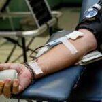 alt="संतुलित आहार में हरी सब्जियां, फल, दालें और साबुत अनाज"